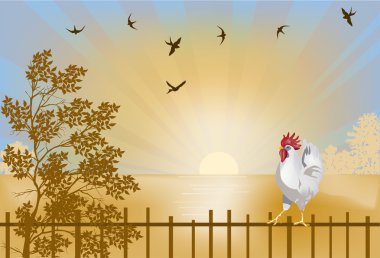 çitin üzerine sarı batarken horoz