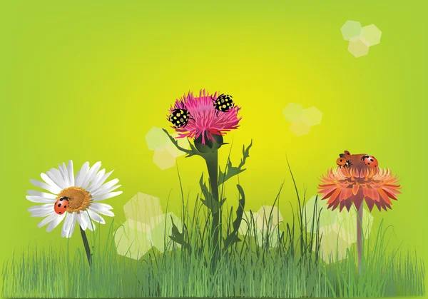 Bugs on flowers in grass — Stock Vector