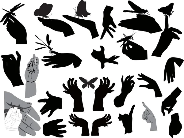 Conjunto de manos humanas e insectos aislados en blanco — Vector de stock