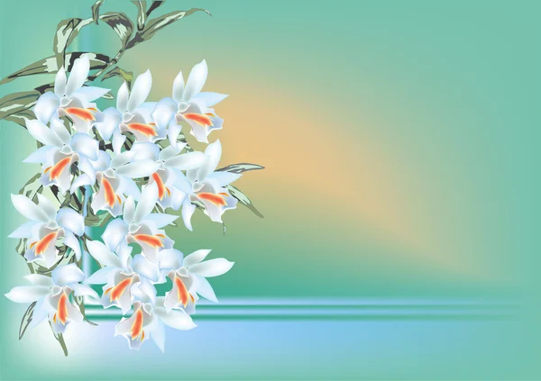 Světle modrá orchidej květina větev ilustrace — Stockový vektor