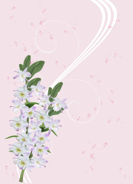 Ramo com flores lilás claras da orquídea — Vetor de Stock