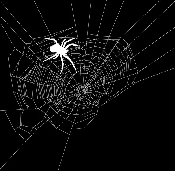 White spider near web center — Stock Vector