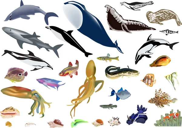 Grande conjunto de cor animais marinhos — Vetor de Stock