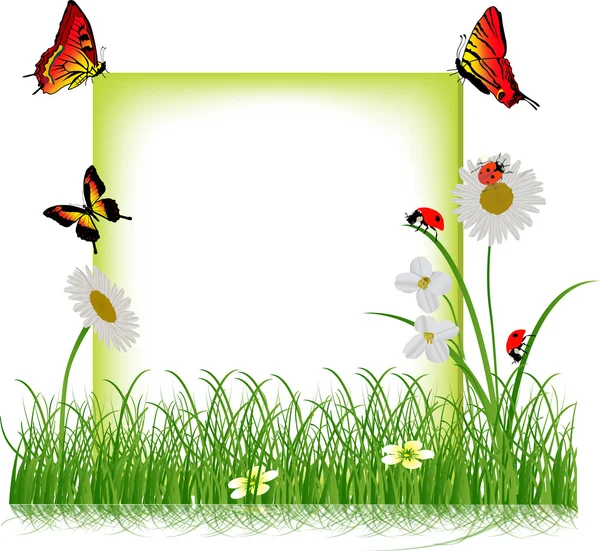 Frame met rode insecten in groene gras — Stockvector