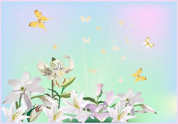 Licht Illustration mit Lilienblüten — Stockvektor