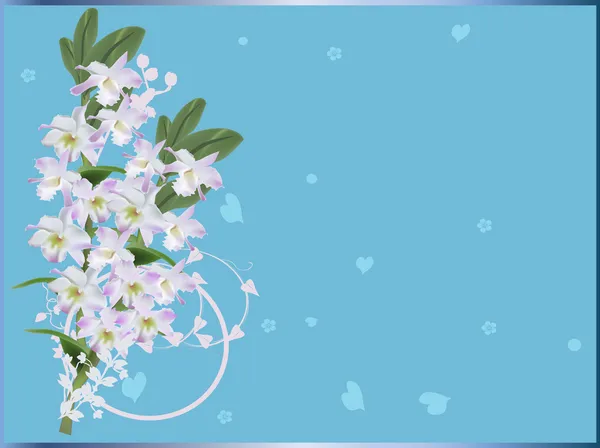 White and lilac orchids flowers on blue — Stock Vector