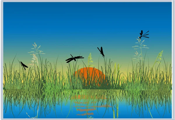 Dragonfly in green grass with reflection — Stock Vector