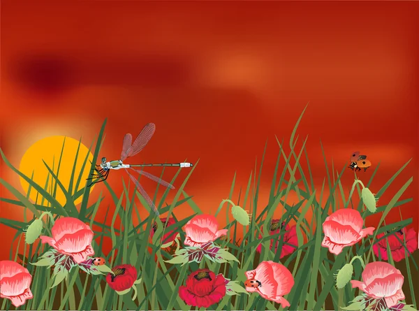 Dragonfly on red poppy field — Stock Vector