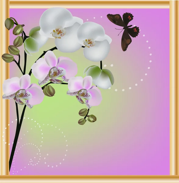 Luz flores de orquídea rosa em moldura de ouro —  Vetores de Stock