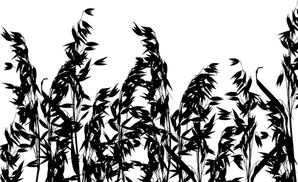 Haver veld silhouet geïsoleerd op wit — Stockvector
