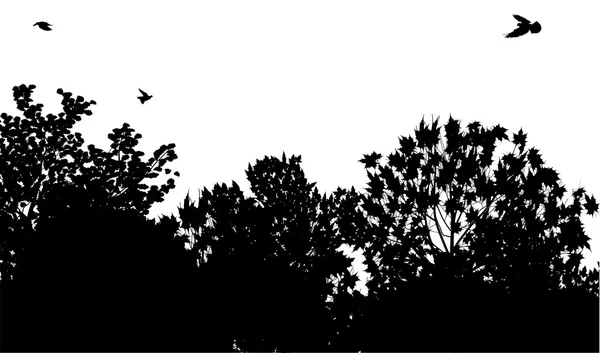Silhouette isolée de forêt noire — Image vectorielle