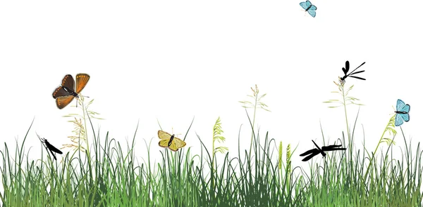 Vážky a motýlů v zelené trávě — Stockový vektor