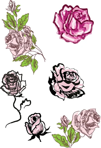 Set of roses sketches on white background — Stock Vector