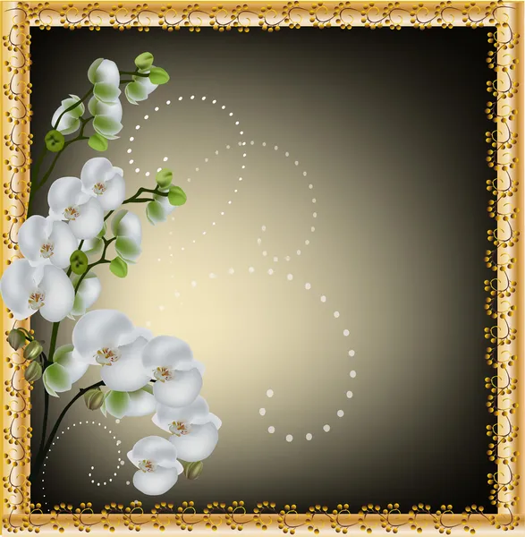 Цветы из белой орхидеи в золотой рамке — стоковый вектор