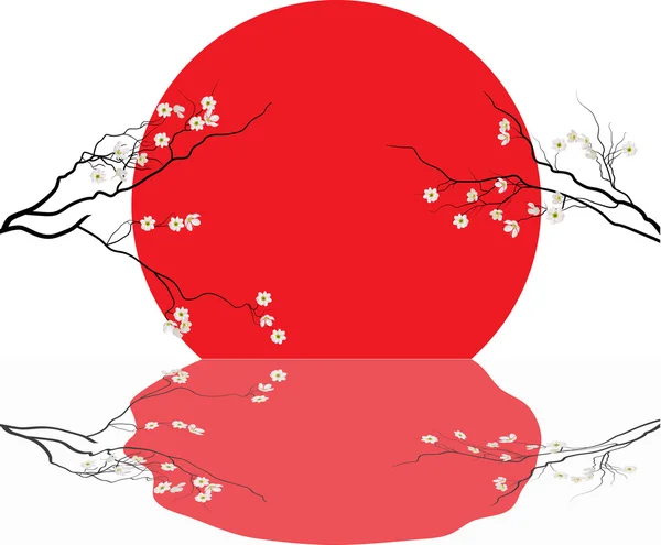 Cherry tree virágok és a vörös nap tükörképe — Stock Vector