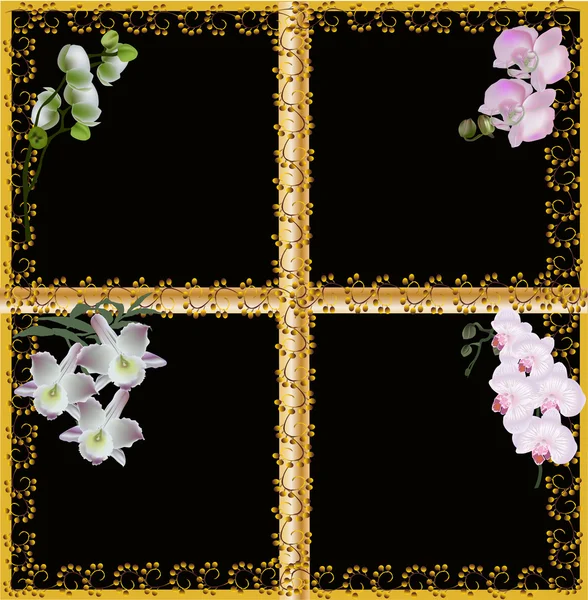 Orchideebloemen in gouden frame op zwart — Stockvector