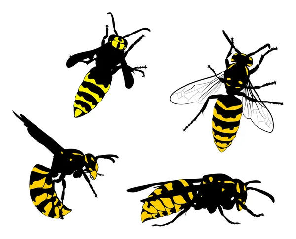 Yellow and black wasps collection — Stock Vector