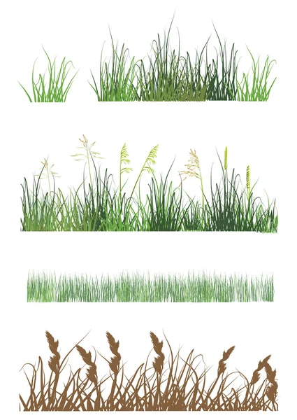 Colección de tiras de hierba aislada en blanco — Vector de stock