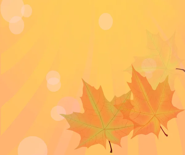 オレンジ色の図と秋のメープル葉します。 — ストックベクタ