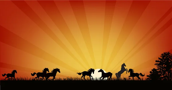 Stádo koní na oranžové slunce ilustrace — Stockový vektor