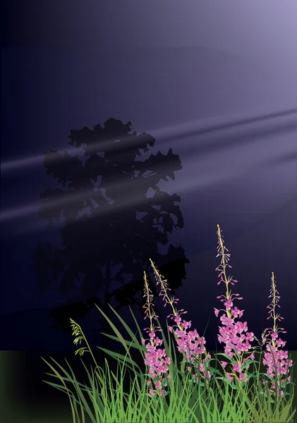 Vilda rosa blommor på mörk bakgrund — Stock vektor
