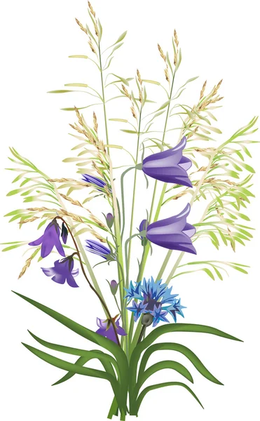 Ramo de flores silvestres y hierba en blanco — Archivo Imágenes Vectoriales