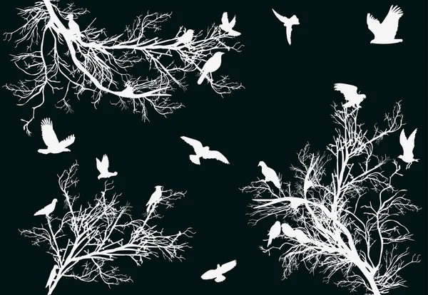 Árvores brancas e pássaros no fundo escuro — Vetor de Stock