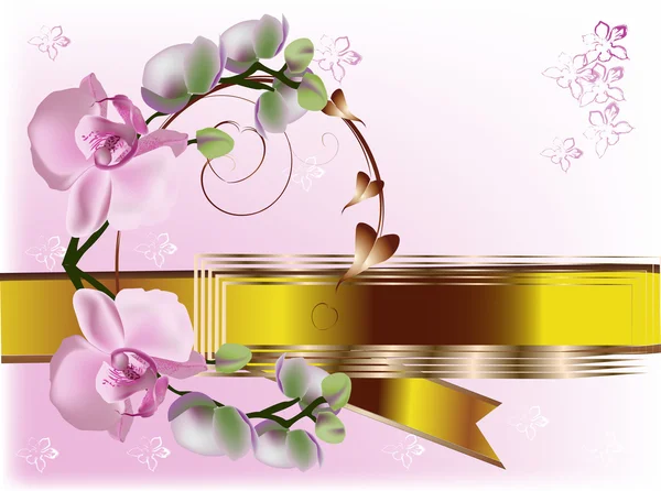 Flores de orquídea rosa y cinta de oro — Vector de stock