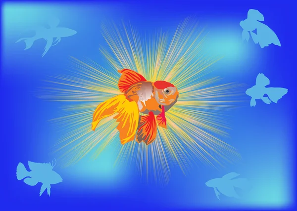 Poisson doré sur fond bleu illustration — Image vectorielle