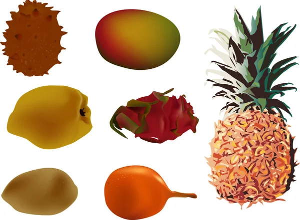 Uppsättning av exotiska frukter kollektion illustration — Stock vektor