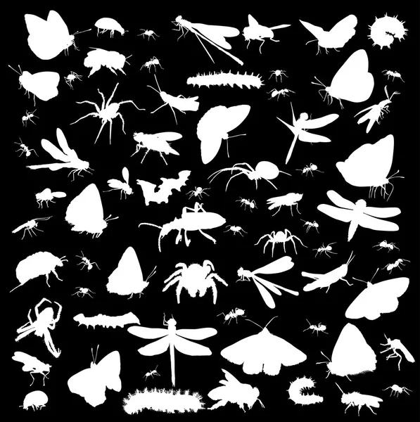 Set of insects silhouettes isolated on black — Stock Vector