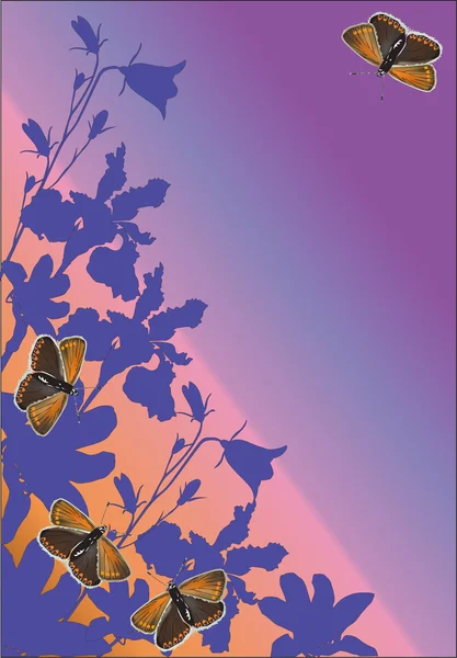 Brown butterflies and lilac flowers — Stock Vector