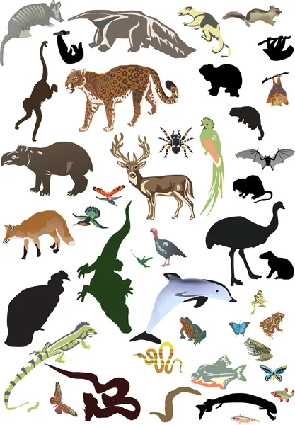 Conjunto de diferentes animales e insectos en blanco — Vector de stock