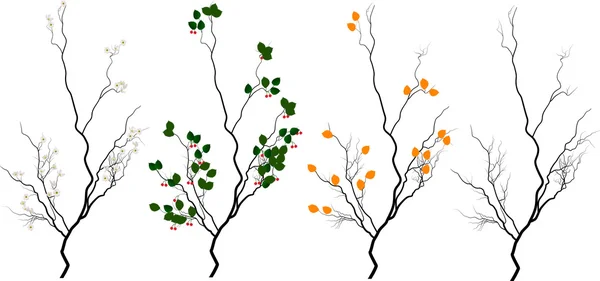 Fire sæsoner isolerede træer – Stock-vektor