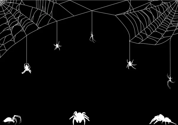 Eight white spiders in web illustration — Stockvector