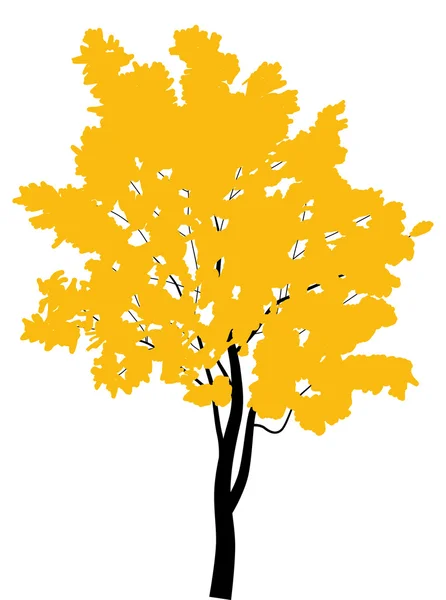 Árbol de oro de otoño aislado en blanco — Vector de stock