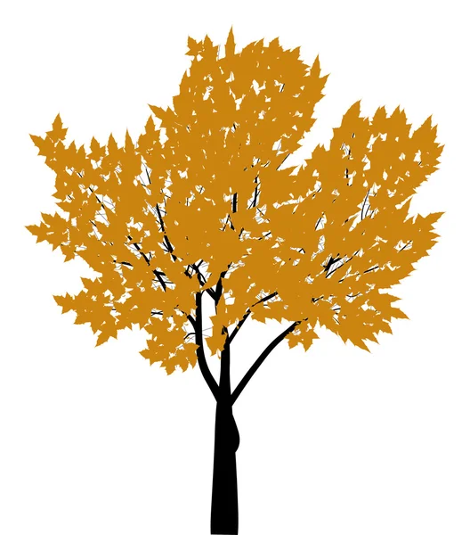 Árbol de arce amarillo otoño ilustración — Vector de stock