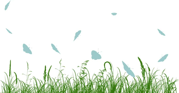 Butterflies above green grass on white — Stock Vector