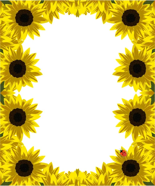 Cadre de tournesols dorés — Image vectorielle