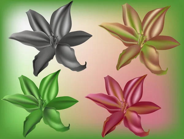 Fyra färg lily blommor illustration — Stock vektor