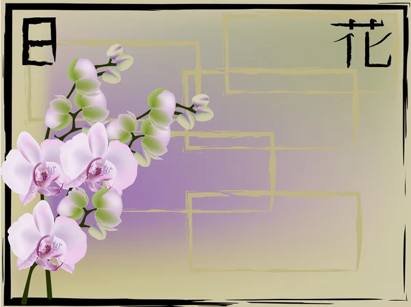 Groen en roze illustratie met orchideeën — Stockvector