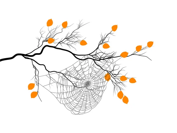 Strom větev a spider web na bílém pozadí — Stockový vektor