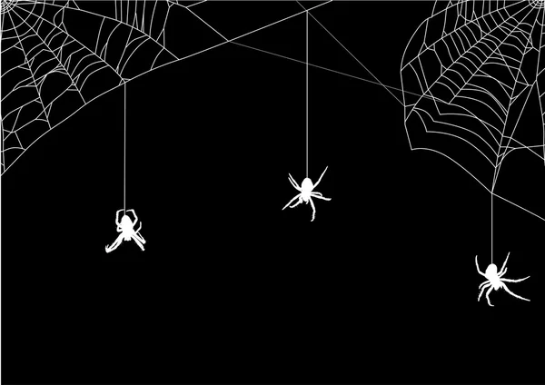 Three small spiders in white web — Stock Vector