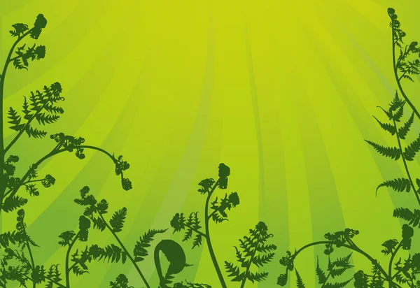 Zielona paproć rama pół ilustracja — Wektor stockowy
