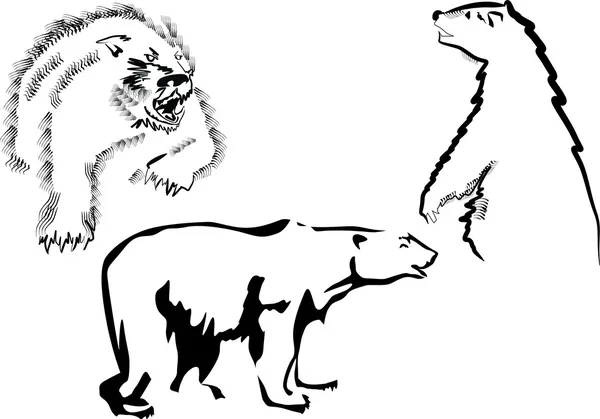 Tres bocetos de oso aislados en blanco — Archivo Imágenes Vectoriales