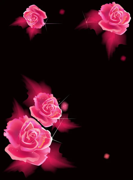Four pink rose flowers on black — Stock Vector