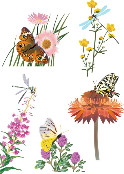 Collection of insects on flowers — Stock Vector