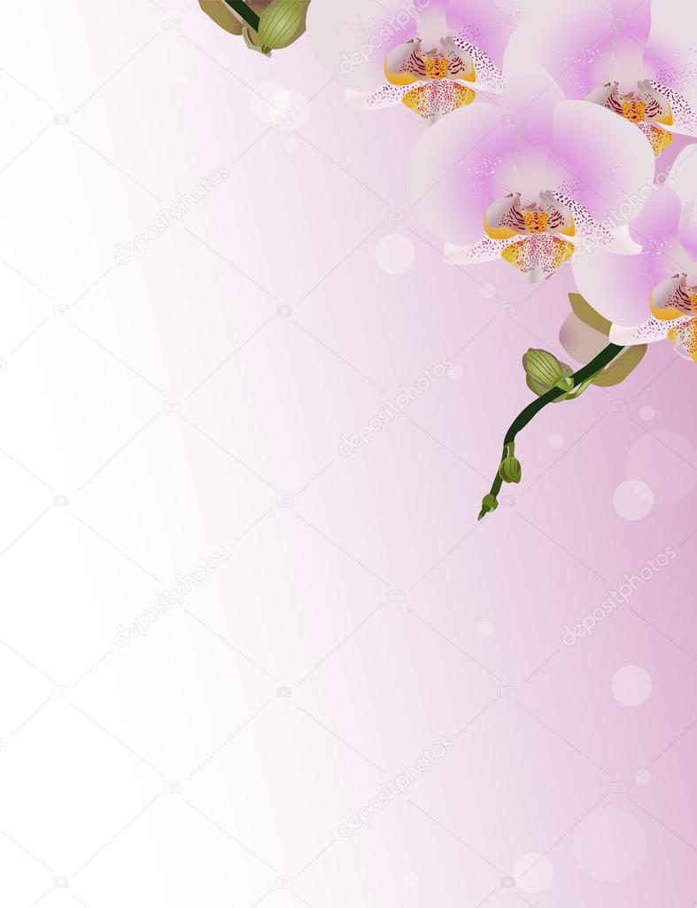 design with pink orchids in corner
