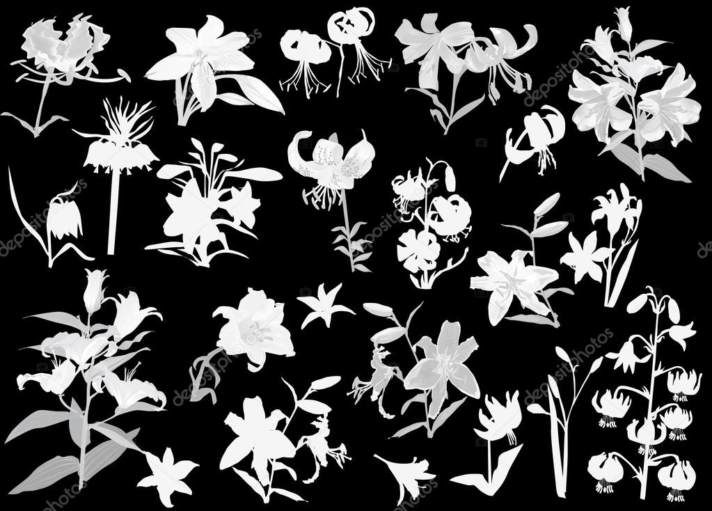 美しい花の画像 50 シルエット 百合 イラスト 花 美しい花の画像 50 シルエット 百合 イラスト 花