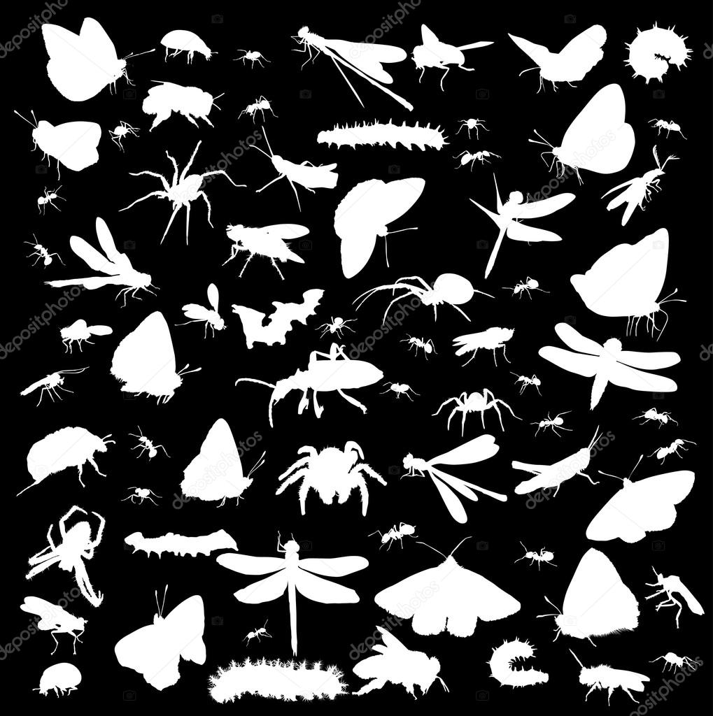 set of insects silhouettes isolated on black